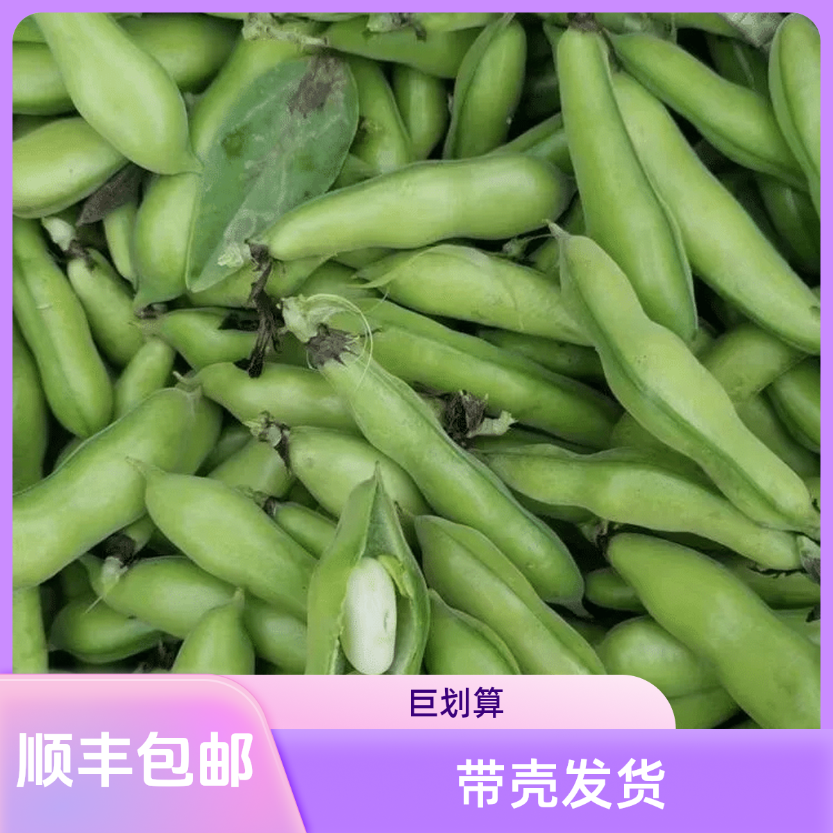 （顺丰包邮）小米胡豆  蚕豆   蔬菜  好吃  新鲜  农家蔬菜