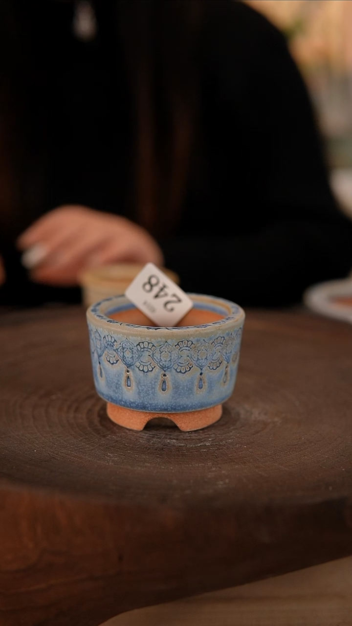 【闪购商品】陶瓷2-14-248默认有瑕口5.5