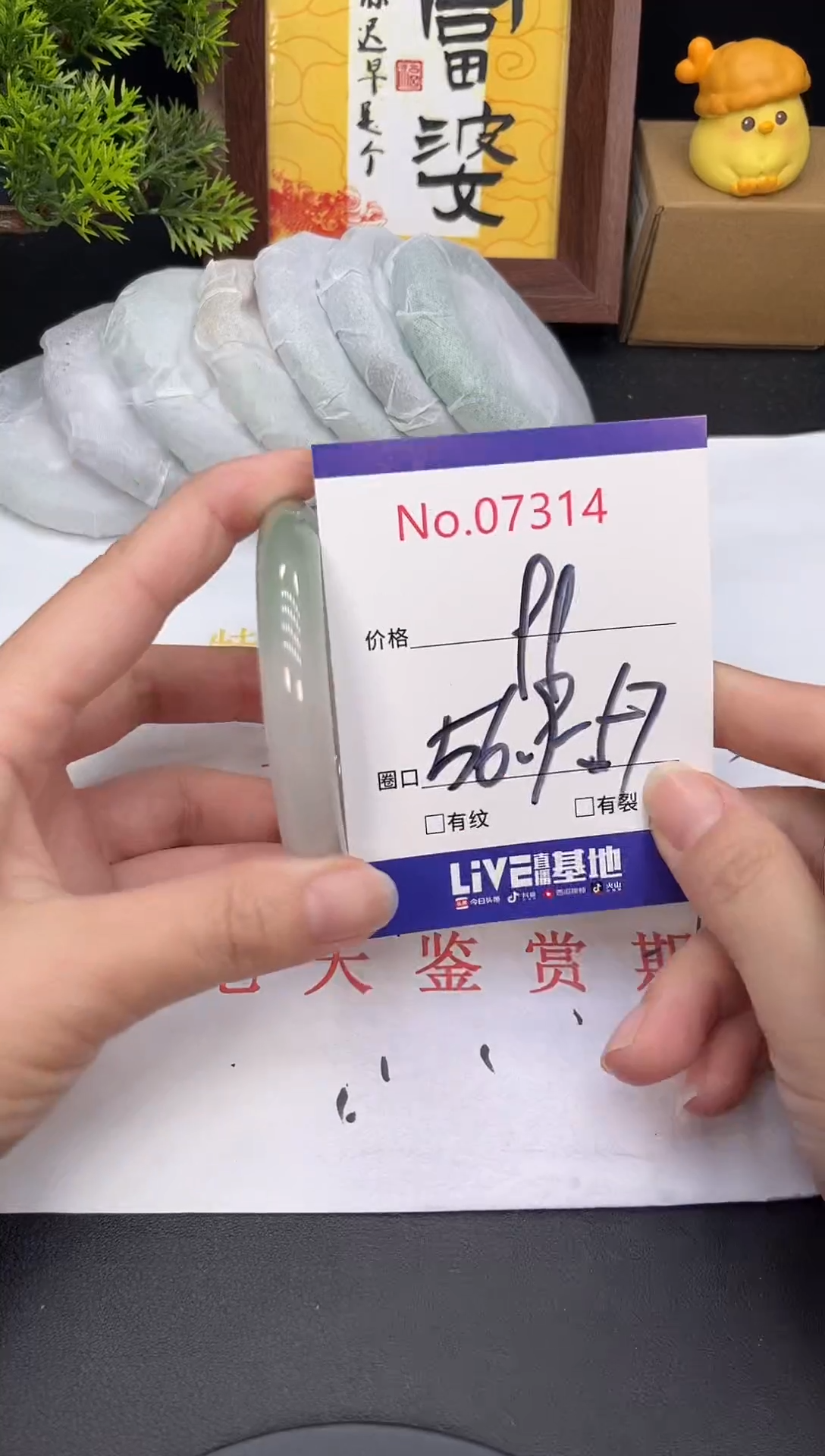 未镶嵌手镯翡翠7314