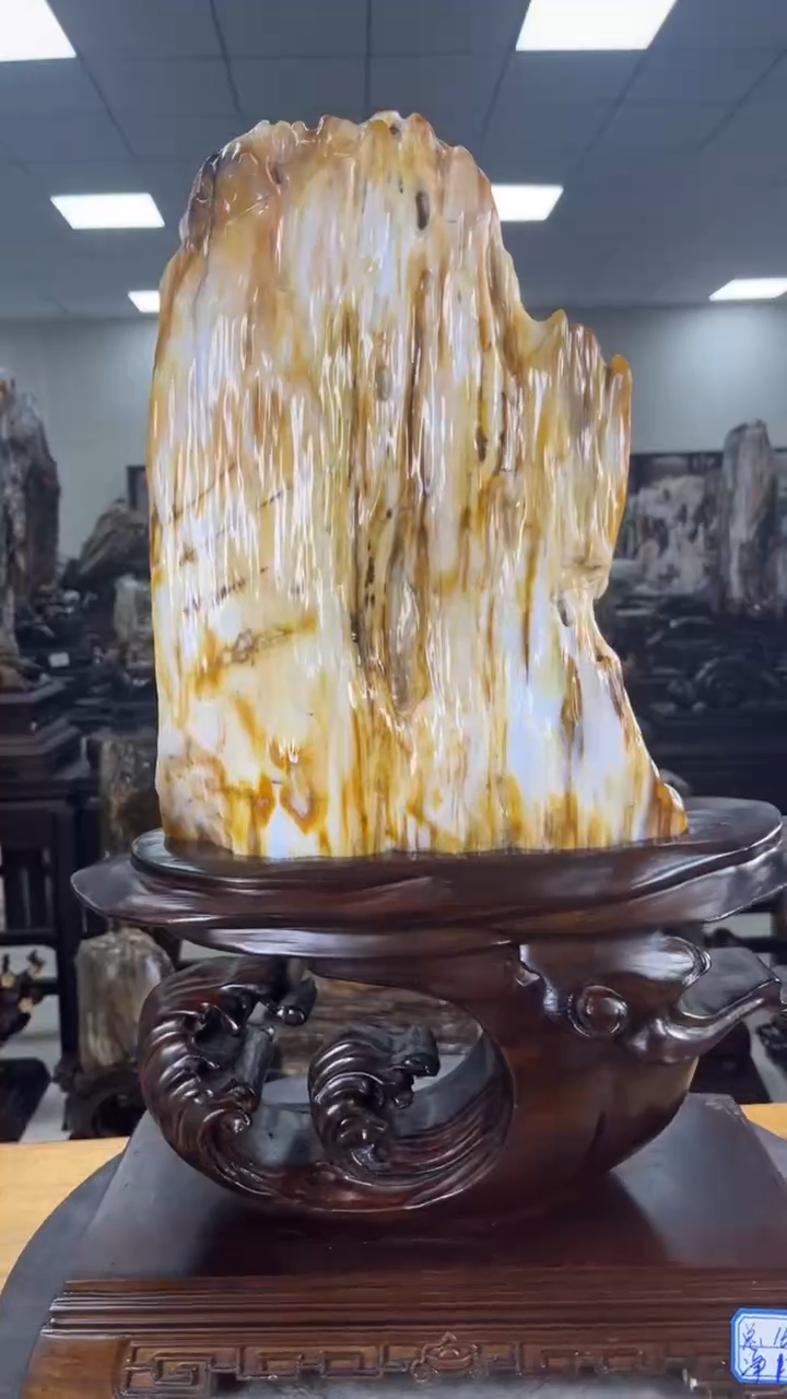 【闪购商品】硅化玉珠宝奇石未镶嵌1