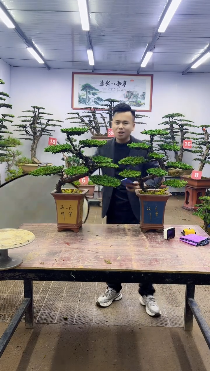 一物一拍，所见即所得