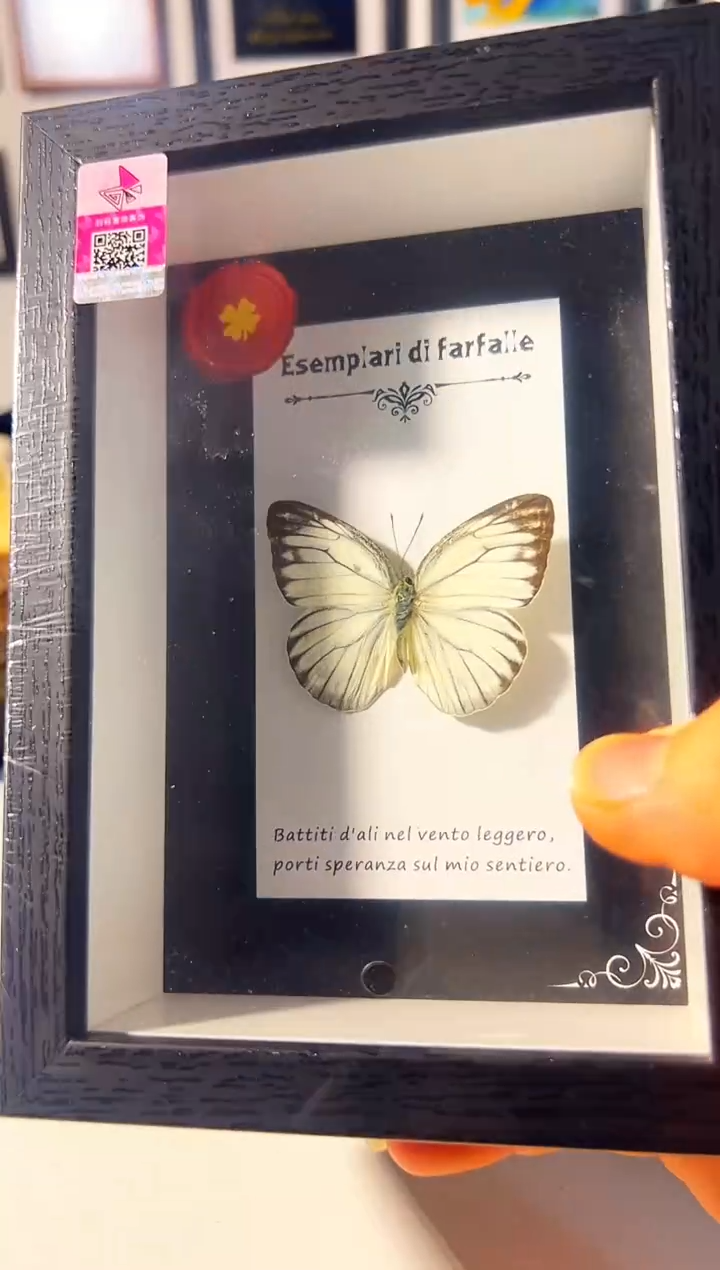 有机玻璃15484845