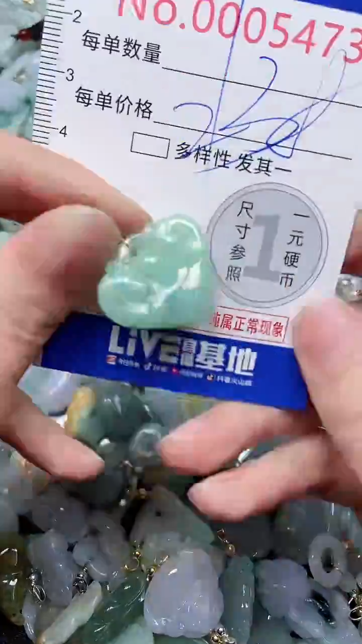 【闪购商品】翡翠颈饰未镶嵌闪购5473