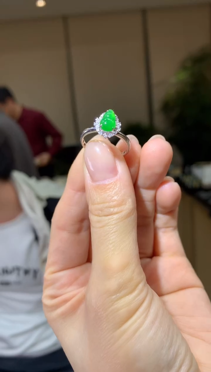 【闪购商品】翡翠戒指18K金镶嵌|不退不换