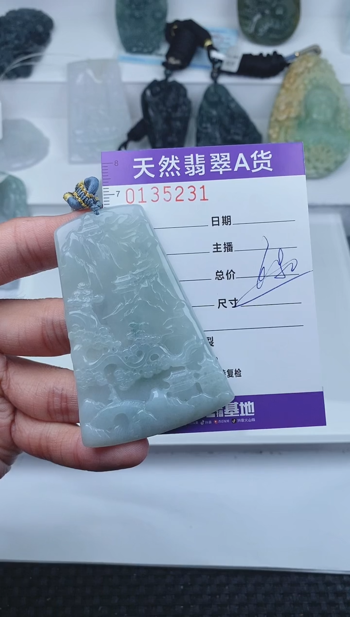 【闪购商品】翡翠颈饰未镶嵌        231