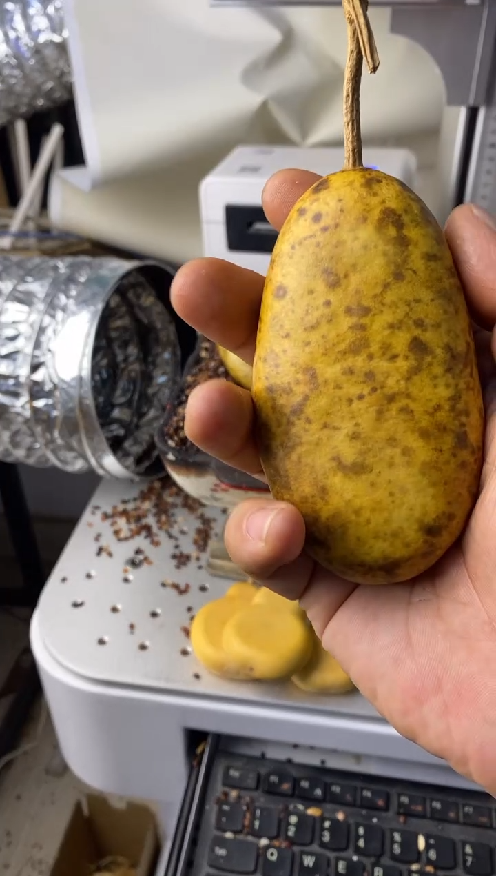 柒*葫芦葫芦葫芦葫芦