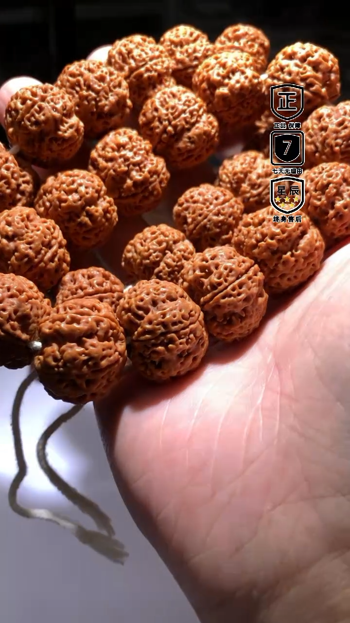 金刚菩提手串075