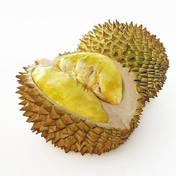 玺韵水果-树熟鲜榴莲 单个装79.9元一个（3斤-3.5斤左右）核小肉厚金枕泰国金枕泰国
