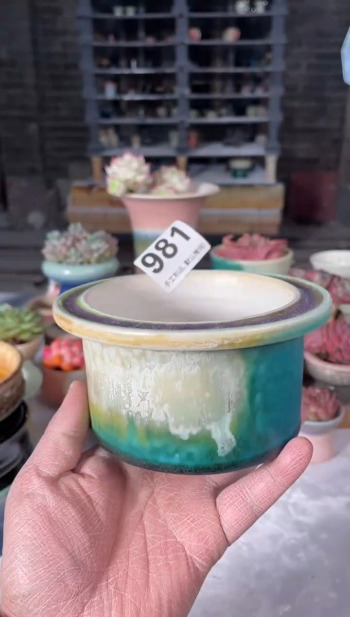 瓷片981小芳直播编号