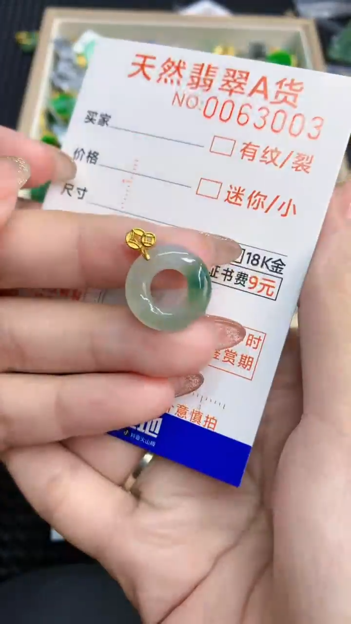 【闪购商品】翡翠银S925镶嵌颈饰            8