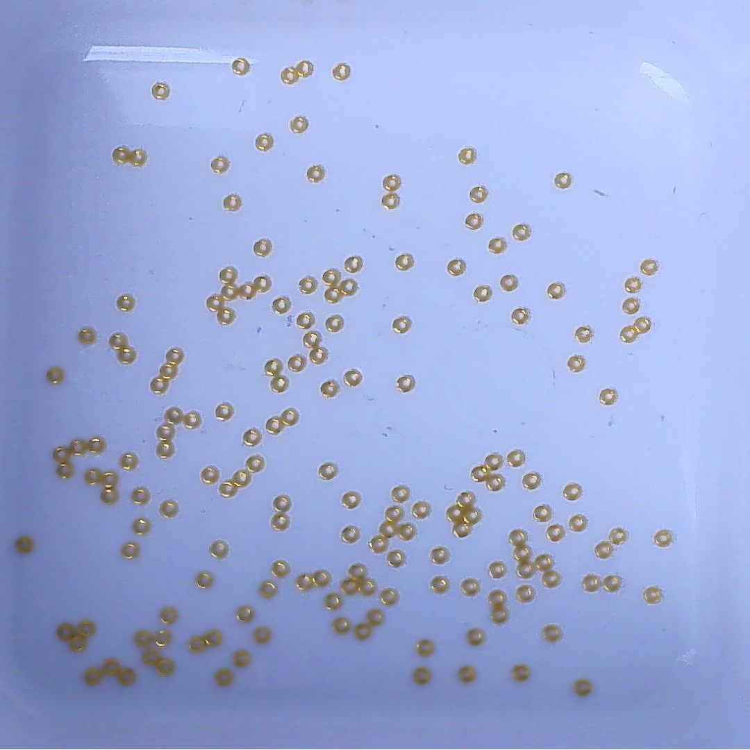 黄金足金小金 豆2