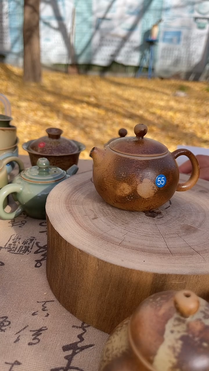 摆件陶一**胆原生态原矿草木灰西施壶