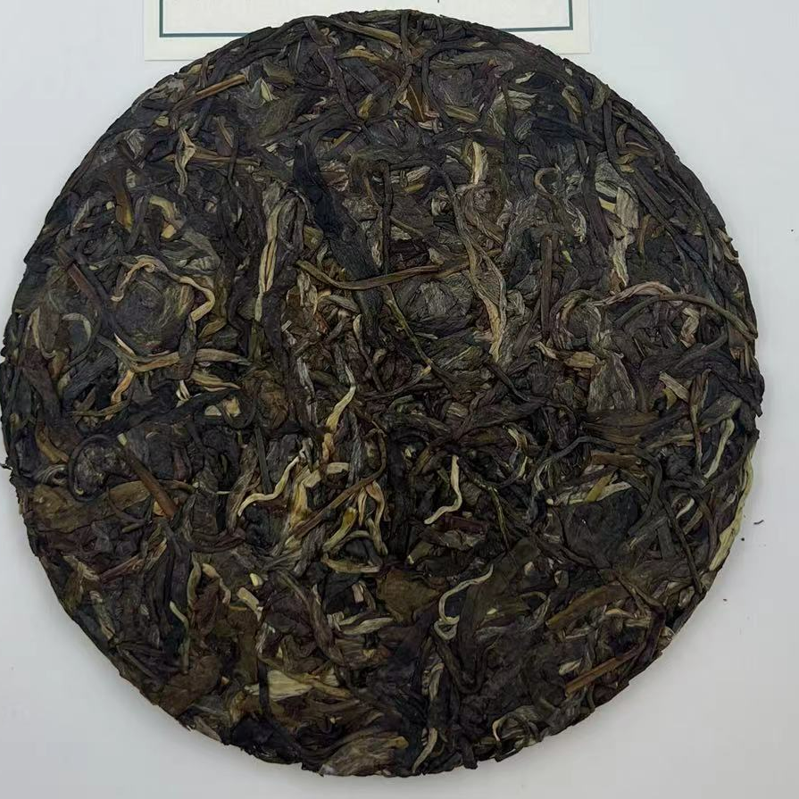 zc2011年绿大树 （以主播介绍为主）