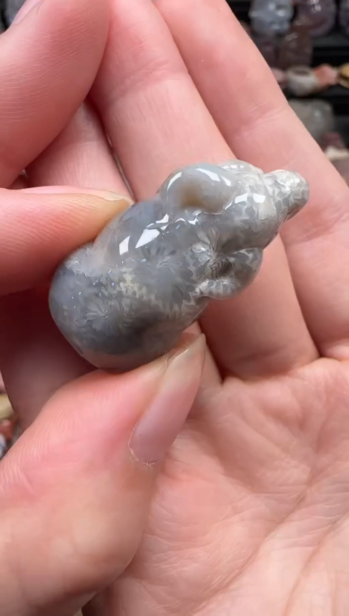 颈饰未镶嵌硅化珊瑚（珊瑚玉）217