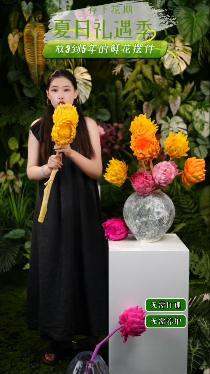 永生花洋蓟柠檬黄2枝发货直径不低于10cm不售后
