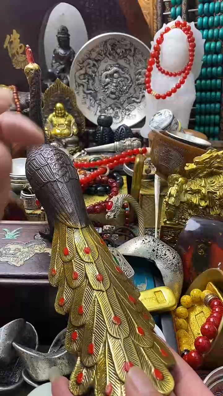 -------主播推荐--------