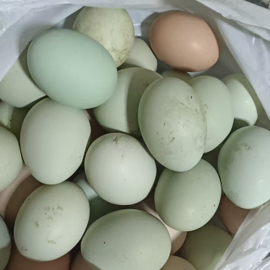 铜鼓乡下营养土鸡蛋