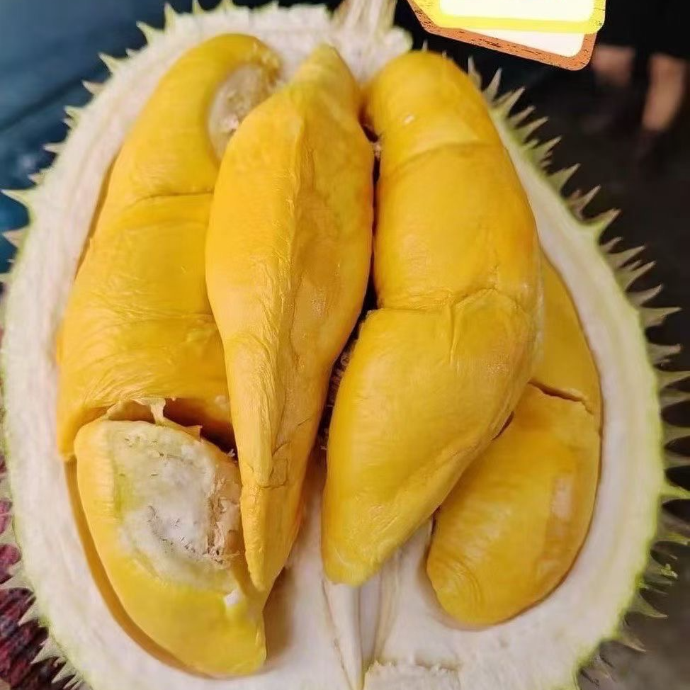马来西亚红肉榴莲D101 新鲜榴莲  3-5斤  核大肉少  口感如奶油般丝滑香味浓郁入口润滑细腻   D101马来西亚
