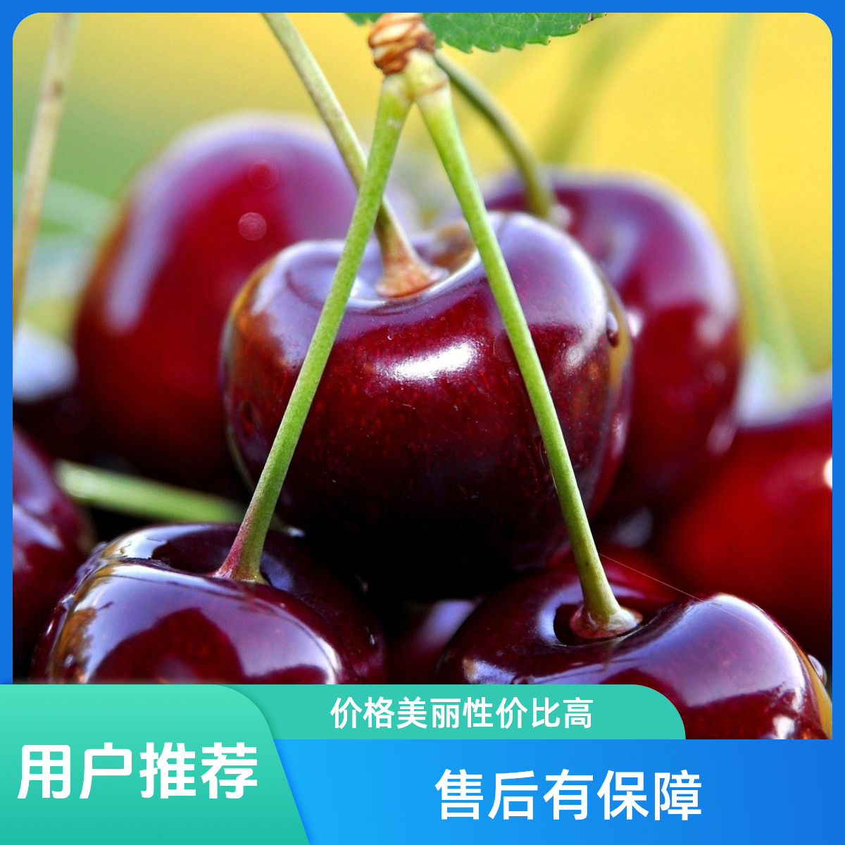 AA【顺丰次日达】海运智利车厘子(桑提娜2JD-3JD-4JD原箱原标2.5KG）内附果径卡桑提娜樱桃智利共和国