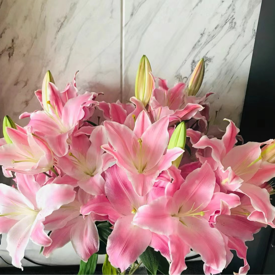 【英英鲜花】粉佳人 单瓣香水百合 任意2单顺丰或德邦