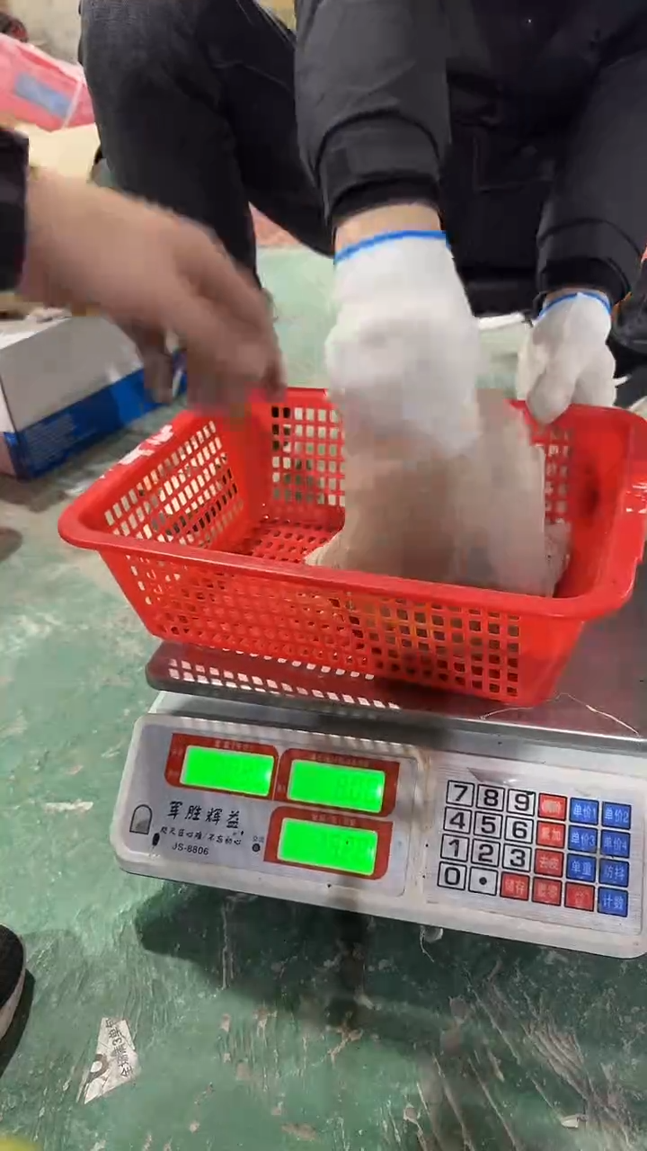 看清下单不退不换230