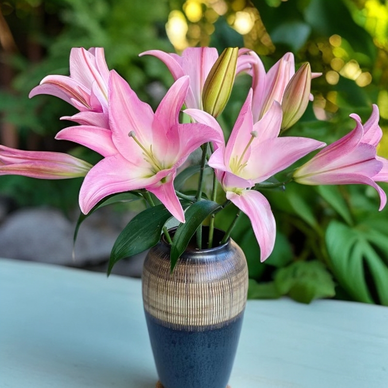 圆舞曲（浓香型）鲜花墙绘水养家用插花凌源基地直发速递百合百合花