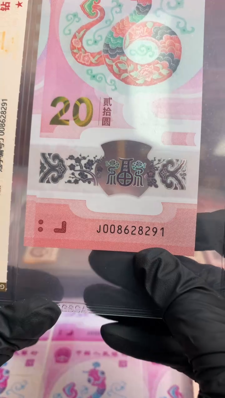 【闪购商品】塑料蛇钞 真钞 【单张】628291