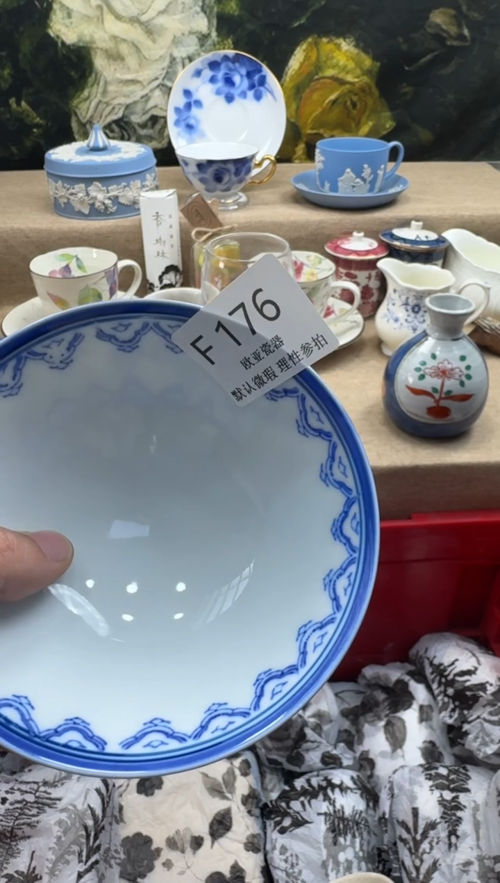 瓷片非****射瓷片    F176