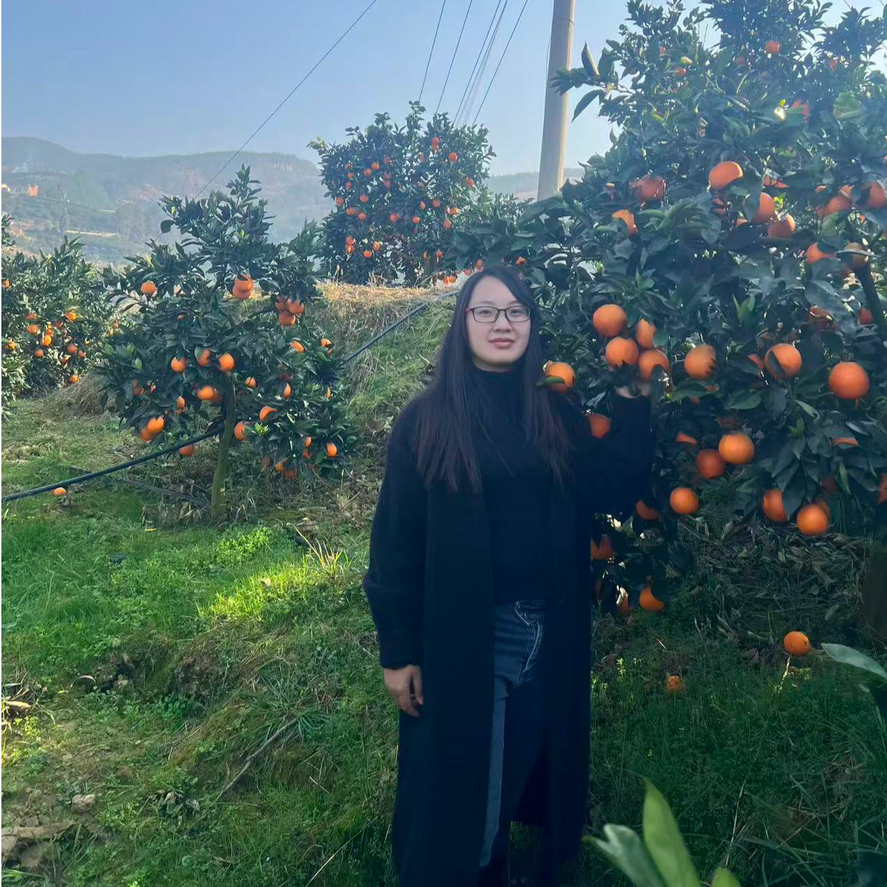 正宗奉节脐橙产地现摘现发自然成熟应季新鲜孕妇水果脆嫩化渣