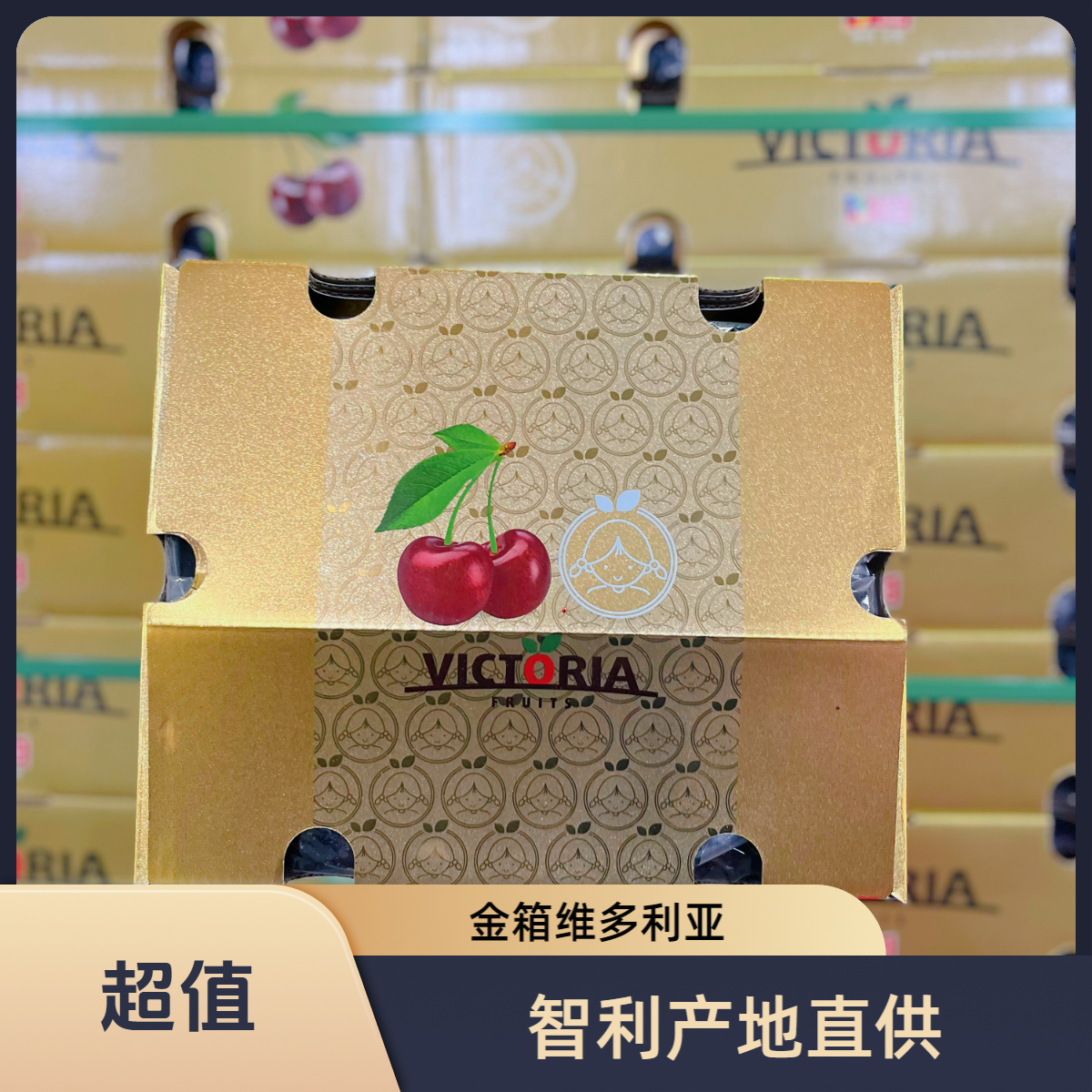 【韩美丽】金箱VICTORIA维多利亚 海运3J桑提娜车厘子 内附果径卡