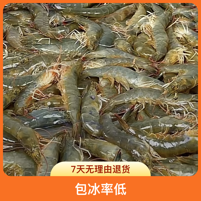【二姐推荐】大连海捕大虾/野生海虾（液氮单冻）