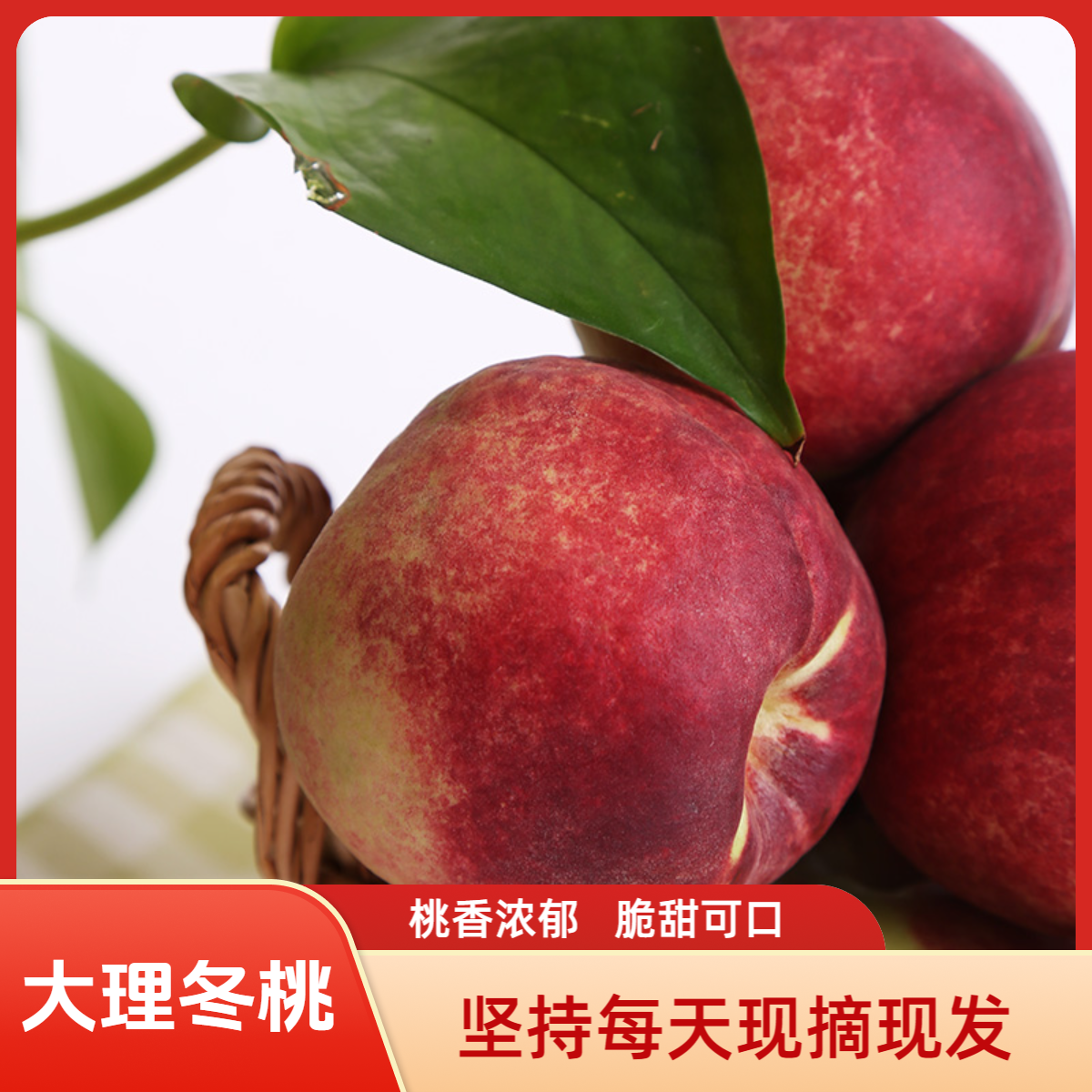 大理冬桃脆蜜桃冬雪蜜桃脆甜离核新鲜应季水果孕妇水果【现摘现发】