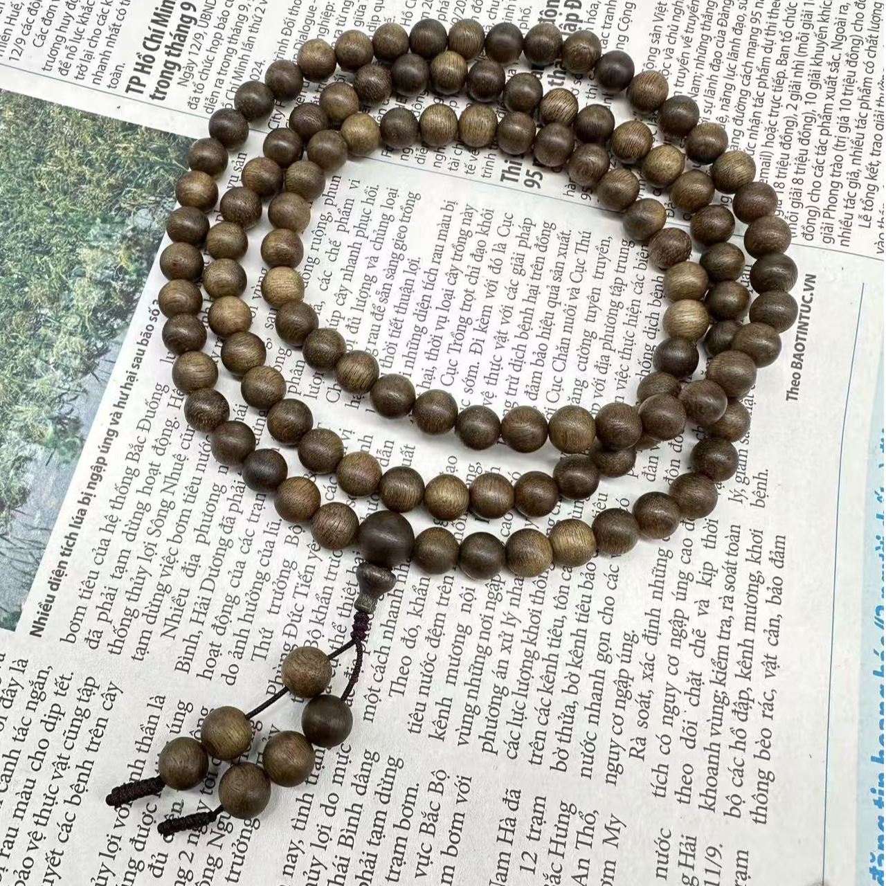 JXDB88加里曼丹黄棋多圈沉香手串（多样性发货）