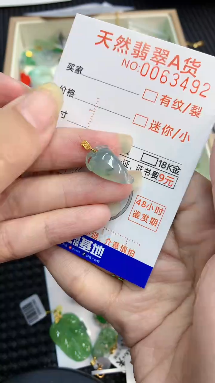 【闪购商品】翡翠颈饰18K金镶嵌            8