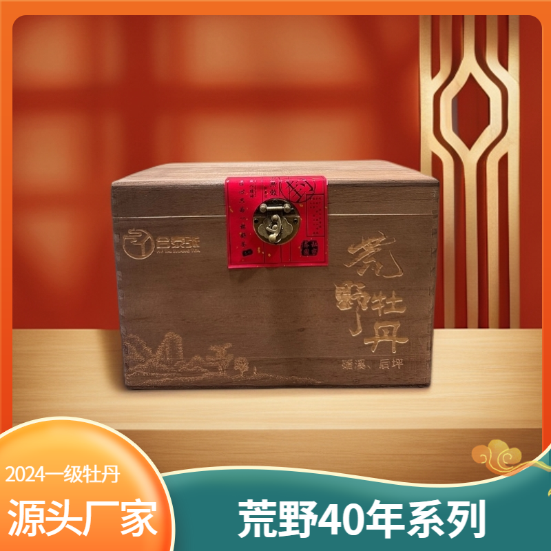 【40年高枞荒野】正宗福鼎磻溪2024荒野一级白牡丹野韵花香