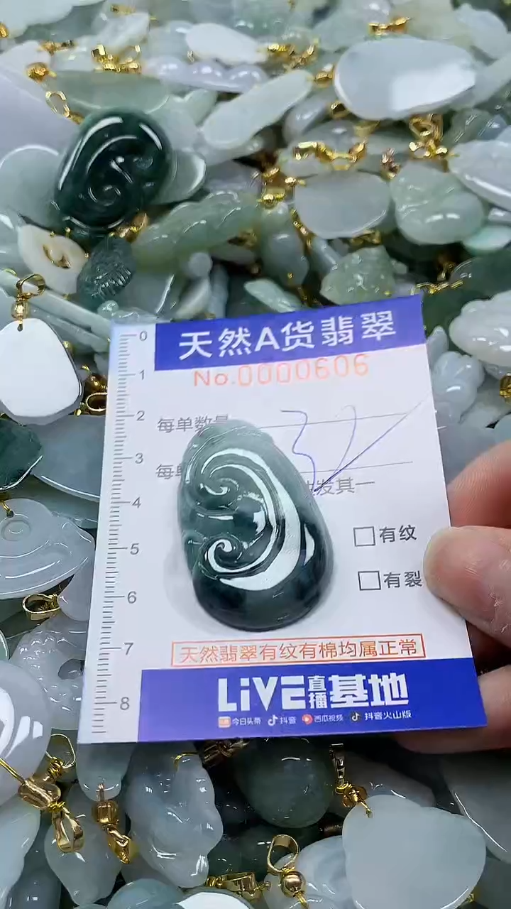 颈饰未镶嵌翡翠纯天然a货翡翠