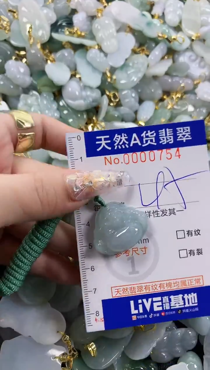 颈饰未镶嵌翡翠A*s天然A货翡翠