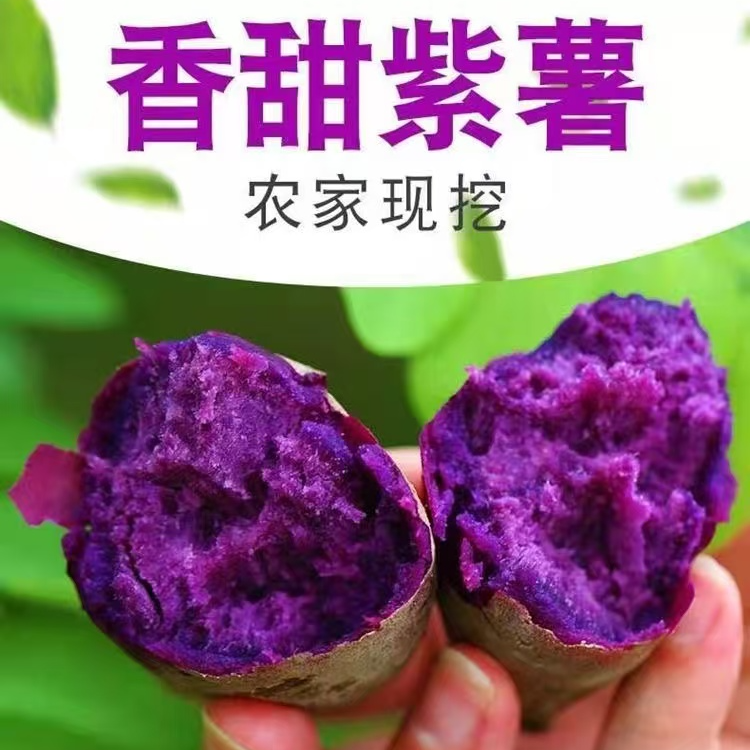 新鲜紫薯板栗红薯番薯地瓜蜜薯糖心山芋香薯蔬菜农家自种现挖