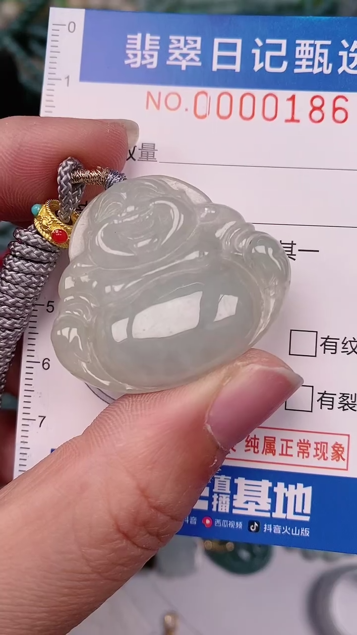 【闪购商品】翡翠颈饰未镶嵌00000186