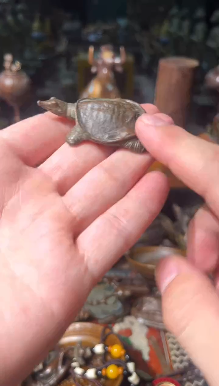 郭郭郭郭专属链接12