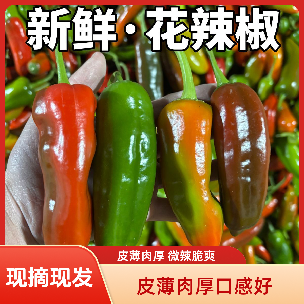 【现摘现发】原产地花辣椒红泡椒青辣椒红线椒农家自种彩椒