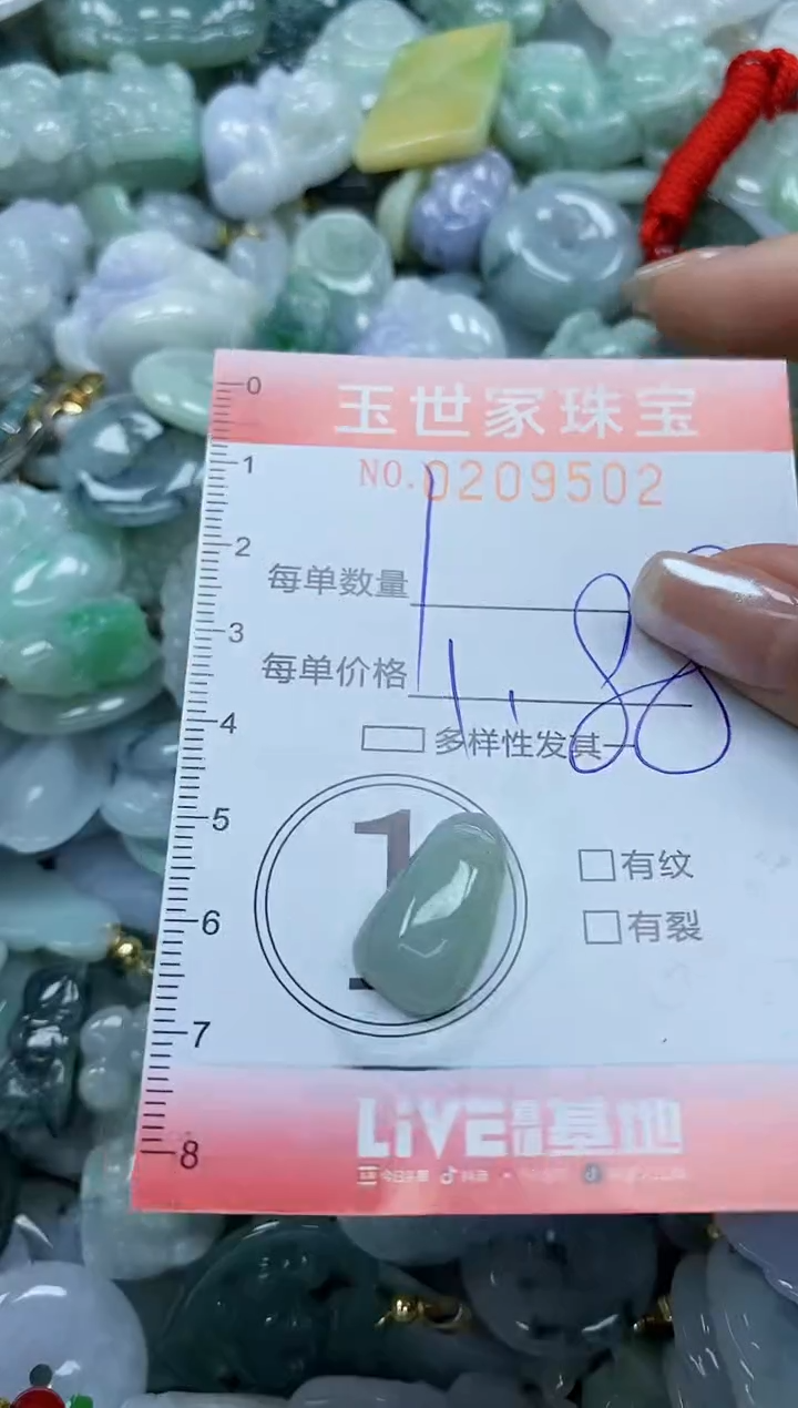 【闪购商品】翡翠颈饰未镶嵌闪购0209502