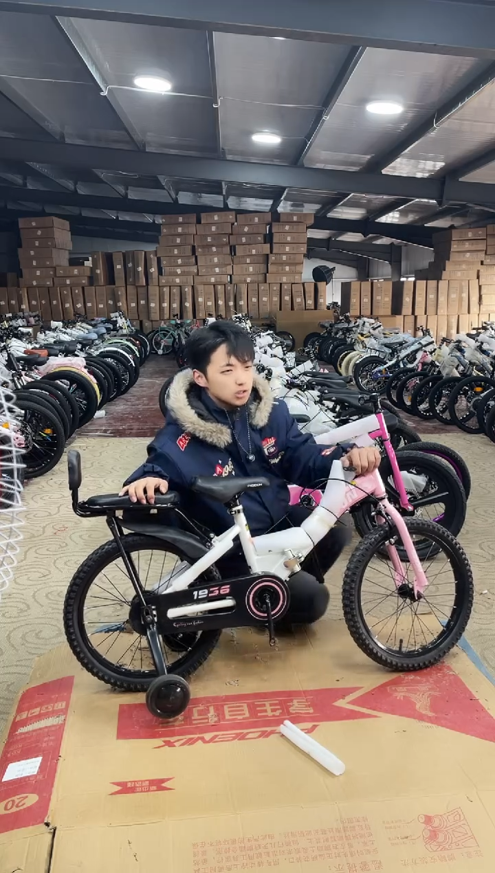 18寸-单速-粉-座-辅【运损微瑕，不退不换】