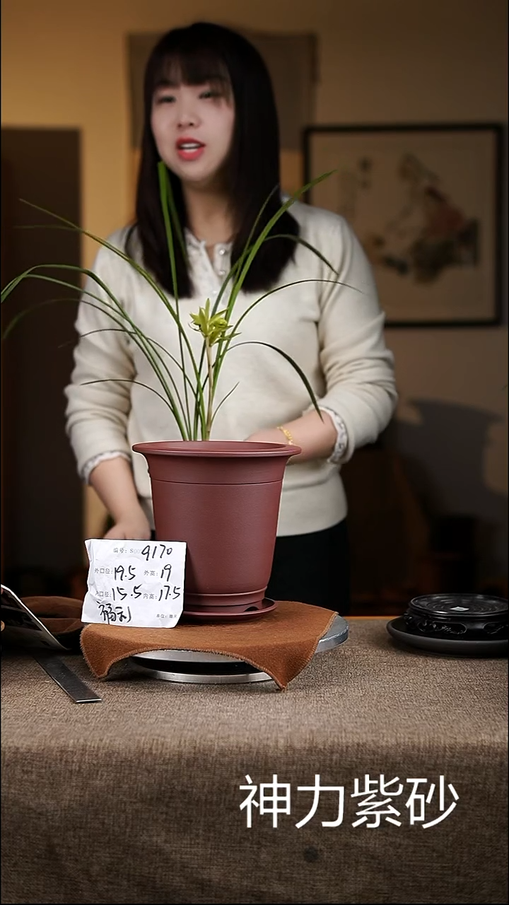 【闪购商品】紫砂花盆紫砂花盆9170+z