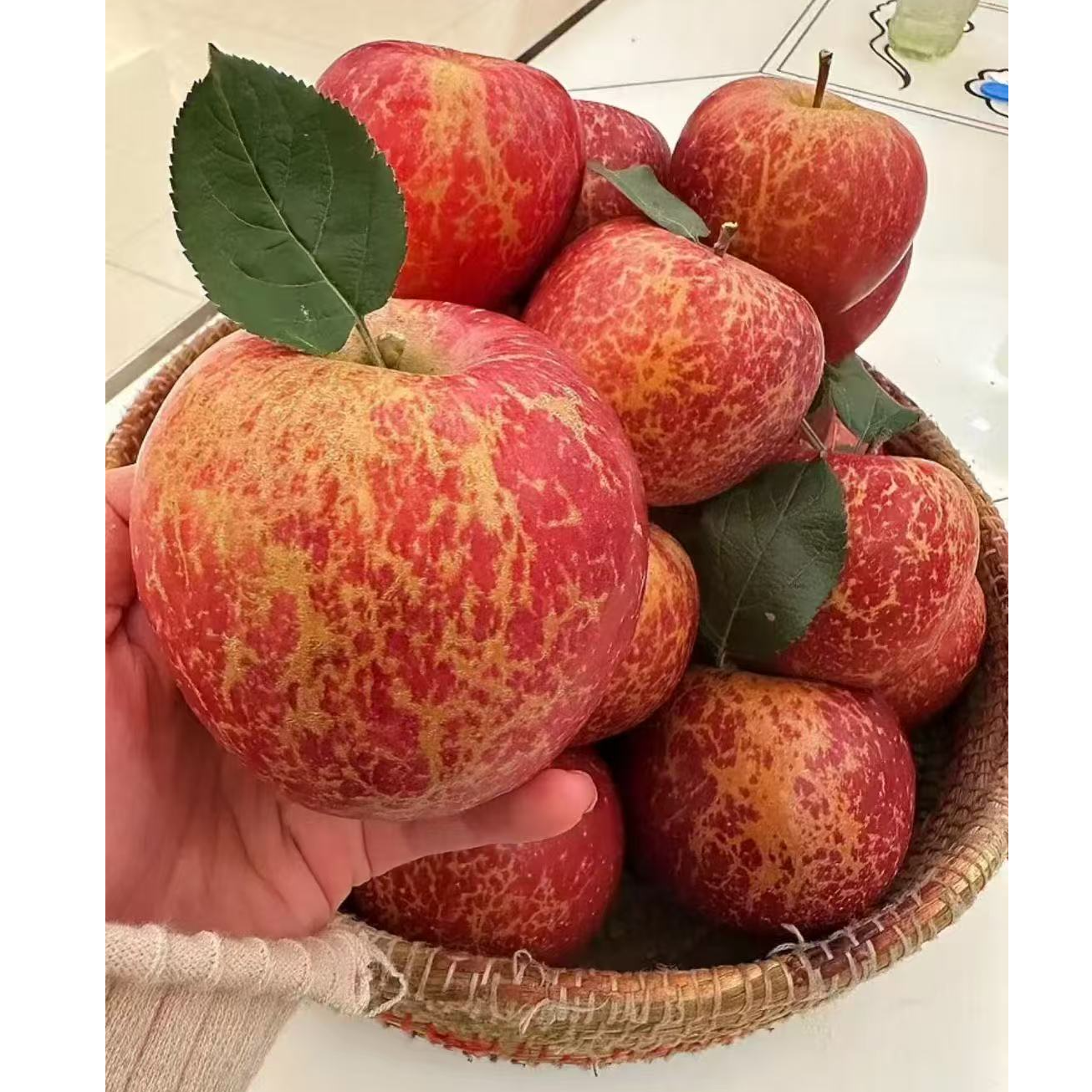 【果农自卖】大凉山丑苹果现摘现发脆甜多汁