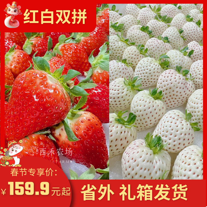 【草莓双拼】红袖2盒＋白雪公主1盒双拼  口感独特新鲜2.4斤坏果包赔