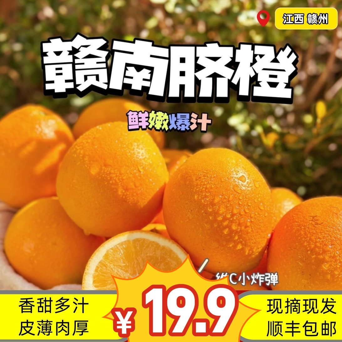 【小果】正宗赣南脐橙原生态应季精品水果现摘现发孕妇小孩新鲜水果
