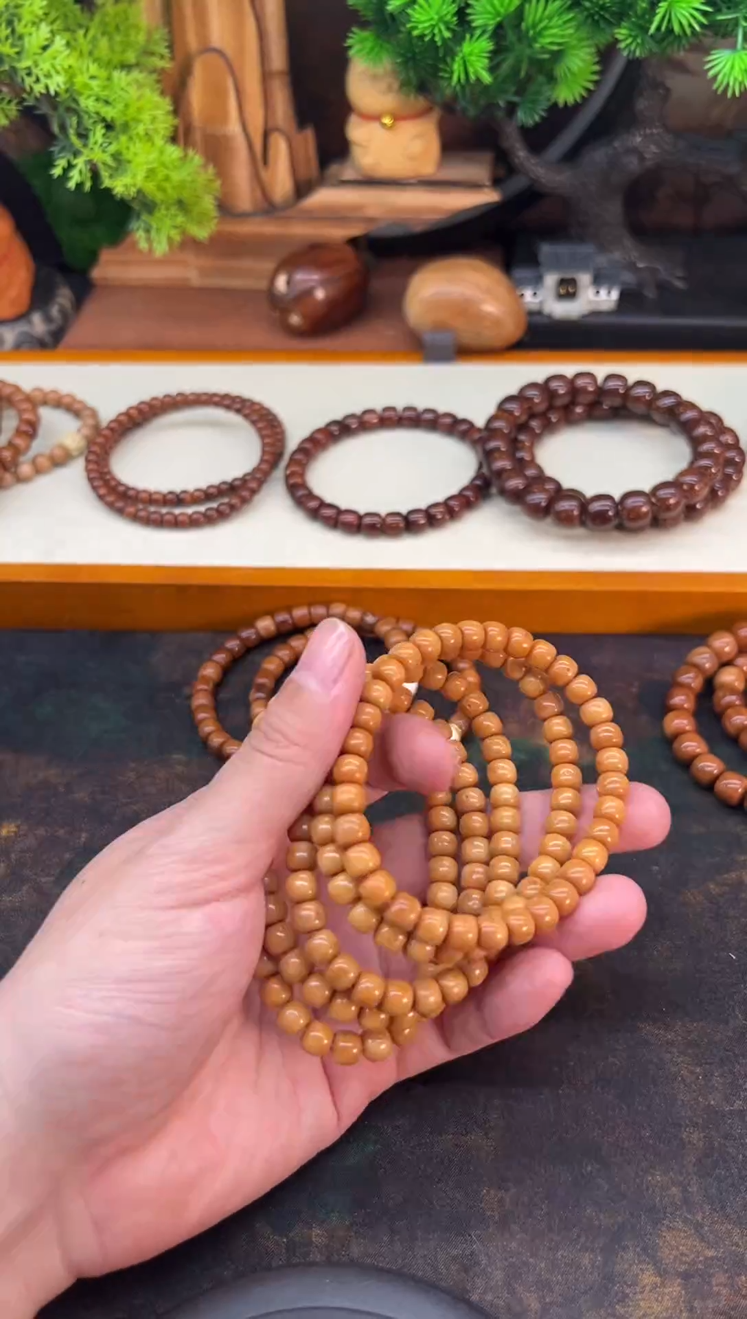 手串龙脊菩提龙脊菩提精工6*7桶珠单圈