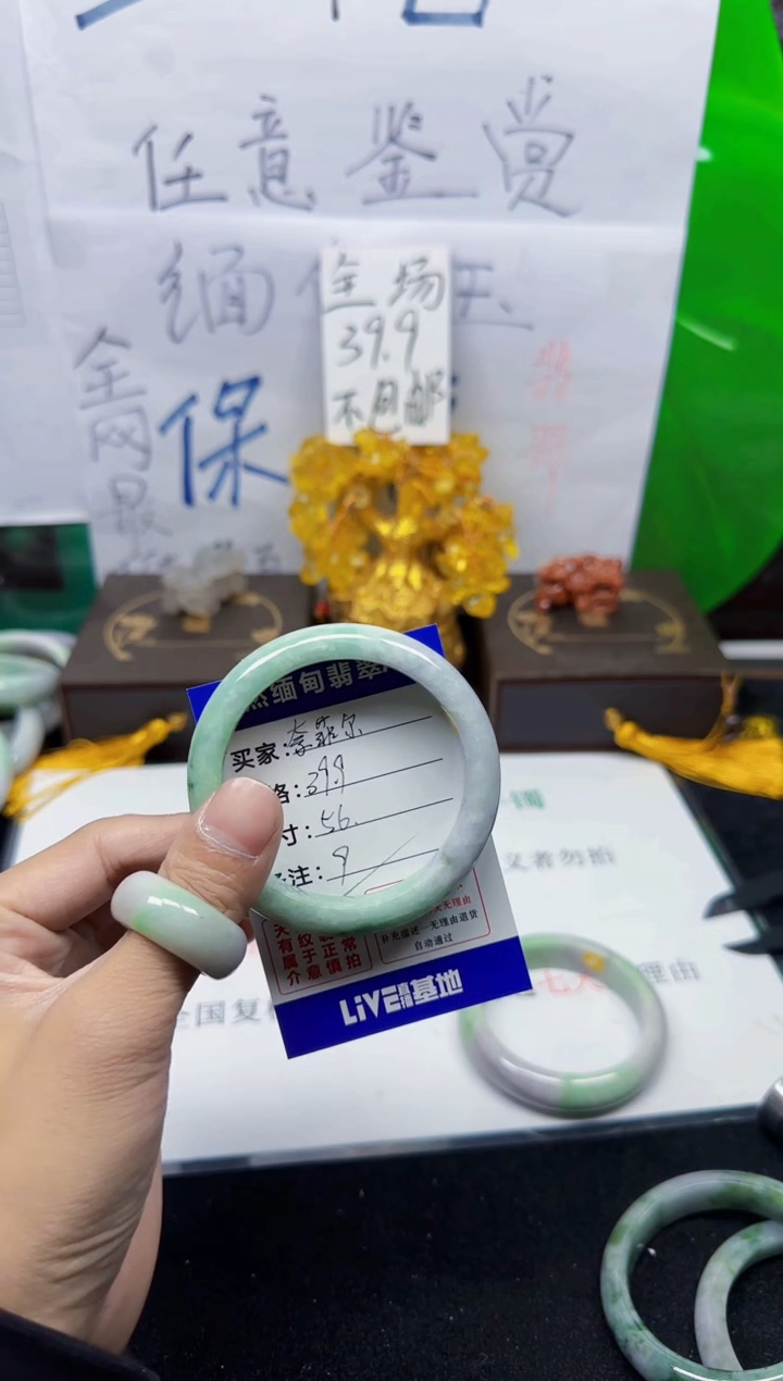 未镶嵌手镯翡翠奈****a9