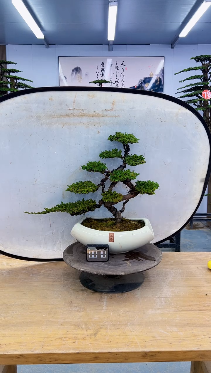 以实际为准0000000000